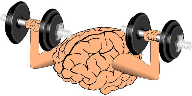 brain workout pixy