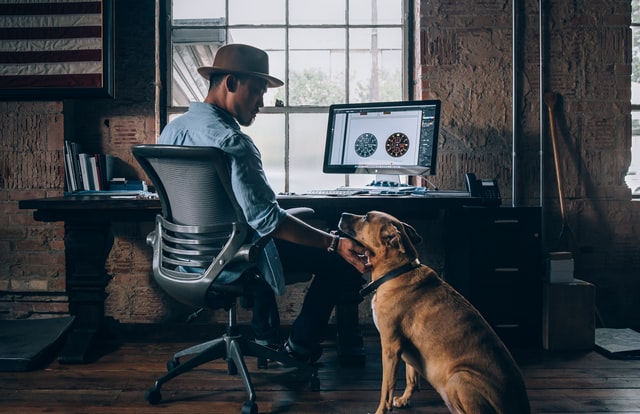 pet-friendly workplaces